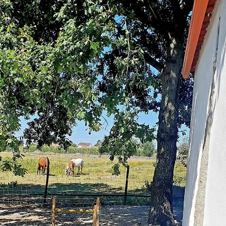 Tc Plums&Foals Farmhouse