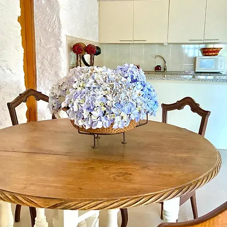 Tc Plums&Foals Farmhouse Chalet Viana do Castelo