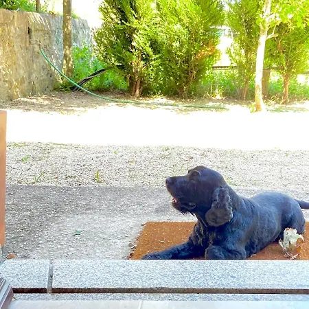 Tc Plums&Foals Farmhouse Chalet Viana do Castelo
