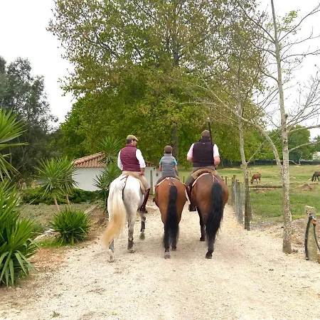 Alpehytte Tc Plums&Foals Farmhouse *