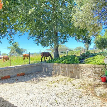 Alpehytte Tc Plums&Foals Farmhouse Viana do Castelo